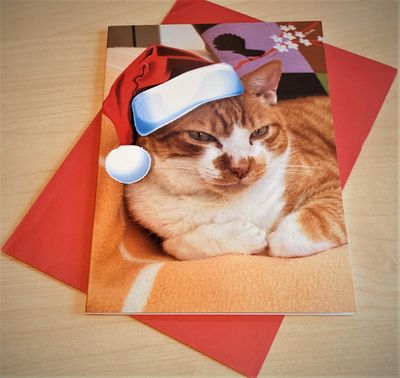 Christmas cards - Munro