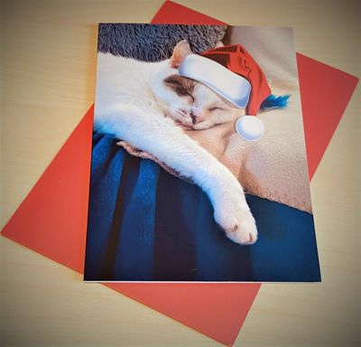 Christmas cards - Snoozing Jeremy