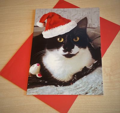 Christmas cards - Ivar