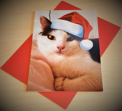 Christmas cards - Watchful Mobi