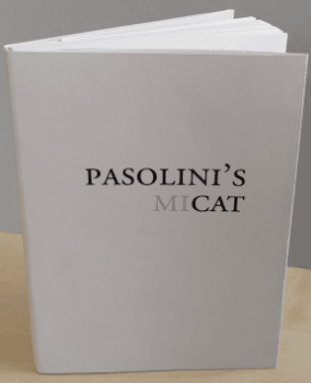 Pasolini&rsquo;s miCat Book