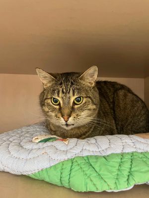 Biggie -- Big boy with a big heart