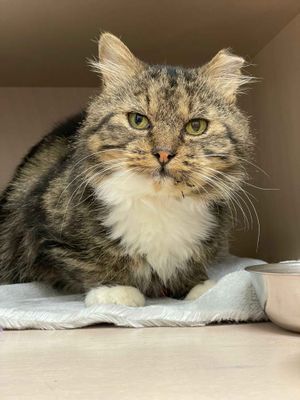 Burton  --  Deserves a real home