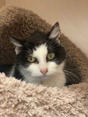 Winifred  --  Adorable old lady