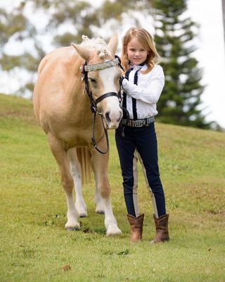 H &amp; H Navy &amp; Beige Jodhpurs