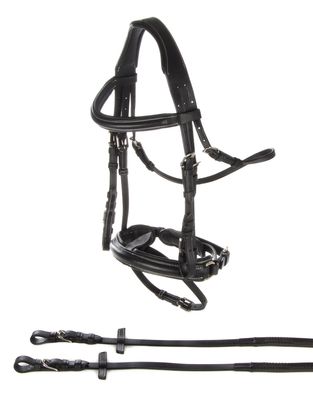 Reyna Riding Hanoverian Bridle