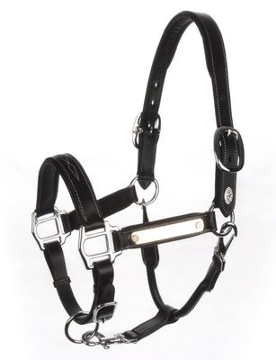 Reyna Riding Leather Halter With Name Plate