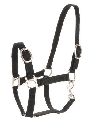 Reyna Riding Nylon Halter