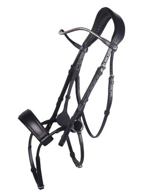 QHP Sedna Bridle