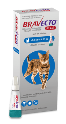 Bravecto PLUS for Cats Medium