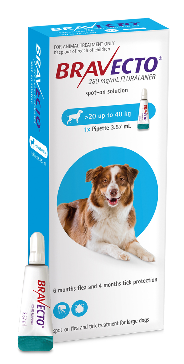 Bravecto large on sale dog 2 pack