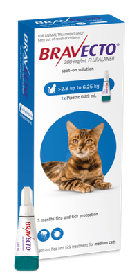 Bravecto Spot-On Cat Medium