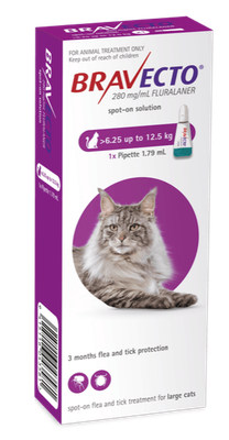Bravecto Spot-On Cat Large