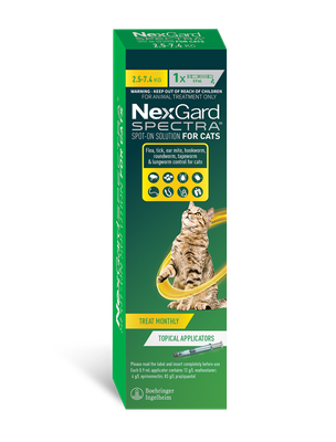 Nexgard Spectra for Large Cats SINGLE (2.5-7.4kg)