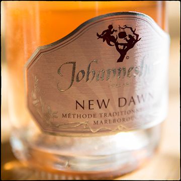 Johanneshof &#039;New Dawn&#039; Ros&eacute;