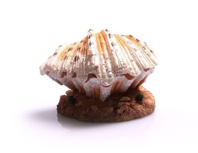 Air Operated Clam on Sand