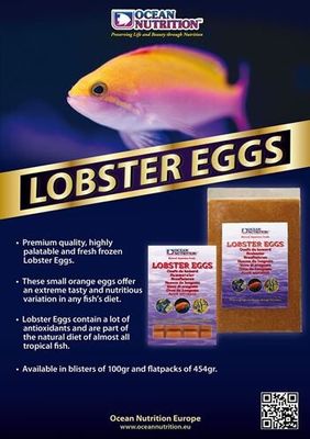 Frozen Lobster eggs