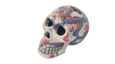 Skull painted 15cm