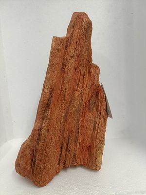 Petrified Wood X-Large 31*15*12cm Resin