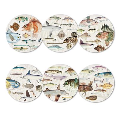 100% NZ Fishes of NZ Placemat Box