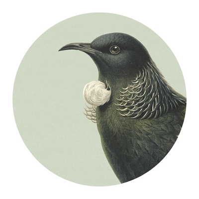 100% NZ Hushed Green Tui Placemat
