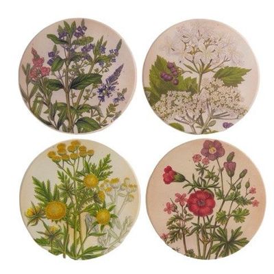 Salisbury Medicinal Plant Coasters