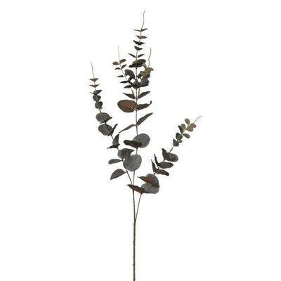 Artisan Florals Red River Gum