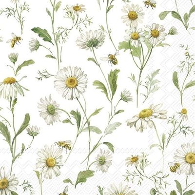 IHR Luncheon Daisies