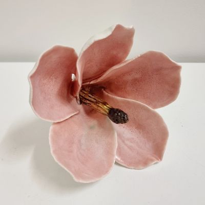 Pink Velvet Magnolia | Trish Seddon