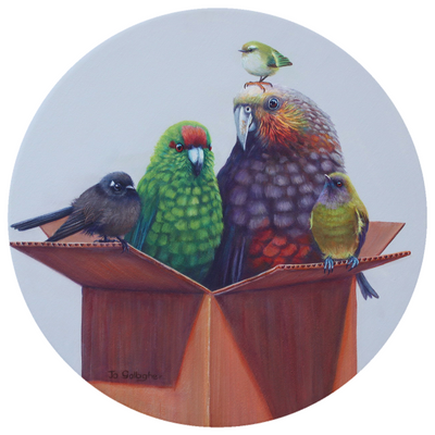 Just a Box of Birds | Jo Gallagher