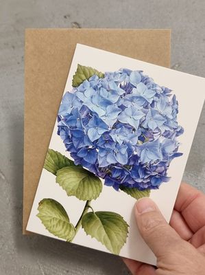 Hydrangea Blue | Greeting Cards