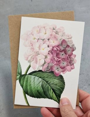 Hydrangea Pink | Greeting Cards