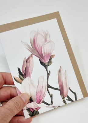 Magnolia #2 | Greeting Cards