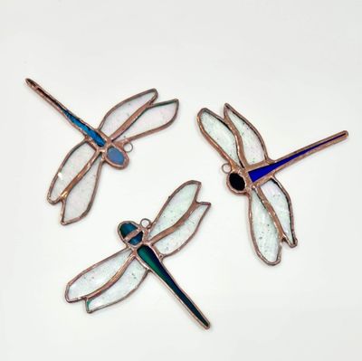 Dragonflies | Hilary Jowle