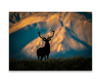 Sunset Silhouette | Chroma Luxe Metal Print | Steve Couper