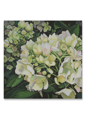 Limelight | Jo Gallagher | &#039;From the Garden&#039; Exhibition