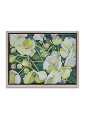 A whisper of white | Jo Gallagher | &#039;From the Garden&#039; Exhibition