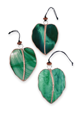 Kawakawa Leaves | Hilary Jowle