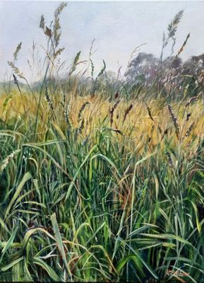 Grass South of Masterton  | Lindy McLachlan