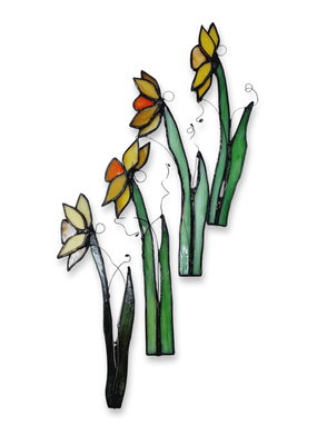 Daffodils | Hilary Jowle