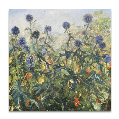 Echinops outside the studio | Lindy McLachlan