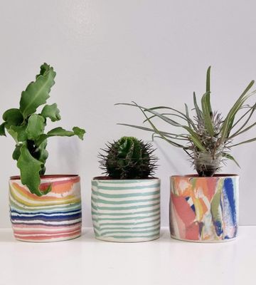 Nerikomi Plant Pot | Alex Wilkinson