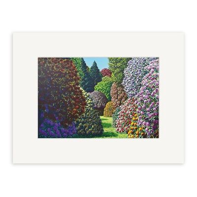 Forest Hill | Karl Maughan