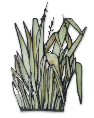 Large Harakeke | Hilary Jowle