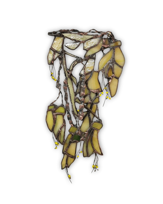 Kowhai Dance | Hilary Jowle