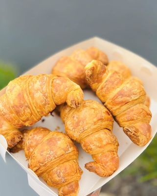 6 Pack Croissants