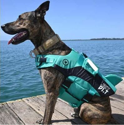 Jetpilot Venture Dog Pfd Life Jacket - Teal