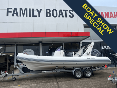 2017 Brig Eagle 650