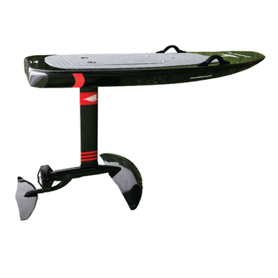 The Pegasus F168 E-Foil