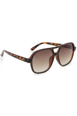 InWear Belgie Sunglasses - Tort